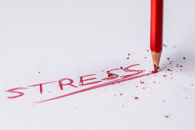 stresové vlivy